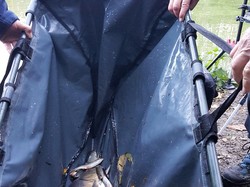 Concours Régional Jeunes 2017