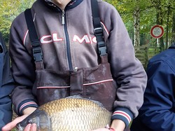 Concours Régional Jeunes 2017