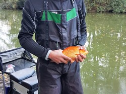 Concours Régional Jeunes 2017