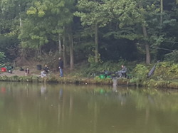 Concours Régional Jeunes