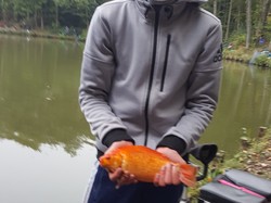 Concours Régional Jeunes