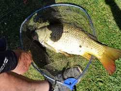 Coupe de France MASTER / VETERANS 2019