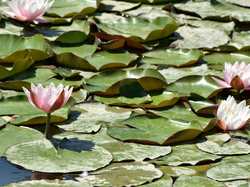 Coupe de France MASTER / VETERANS 2019