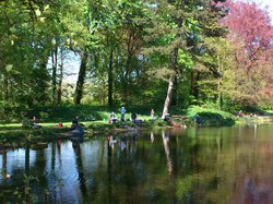 CR Vétérans 2014 à Lille