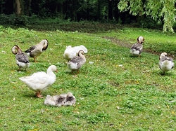 Critérium Régional JEUNES 2024