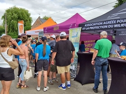 JFT Coup HDF 06 2025