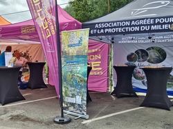 JFT Coup HDF 06 2025