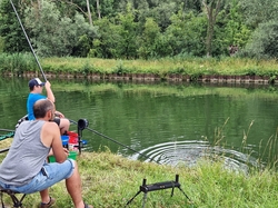 JFT Coup HDF 06 2025