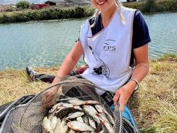 MONDIAL Féminines 2022 - GRAVELINES